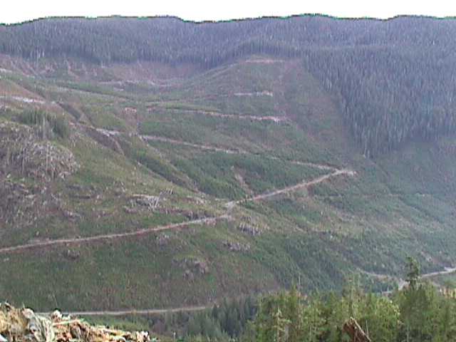 MVC-008S.JPG (32130 bytes)